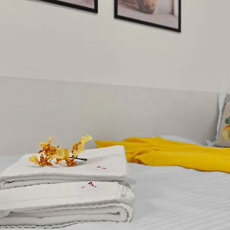 Continetal Estudio * Bukareszt